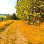 Cosy Authentic - Lacomte5 * Vielsalm