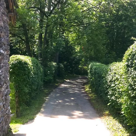 Cosy Authentic - Lacomte5 * Vielsalm