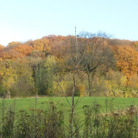 Cosy Authentic - Lacomte5