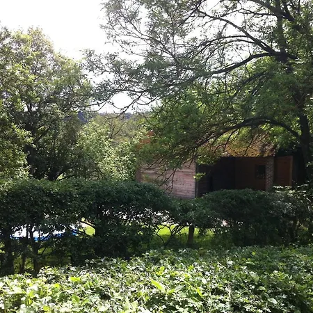 Cosy Authentic - Lacomte5