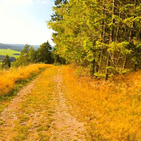 Cosy Authentic - Lacomte5 * Vielsalm