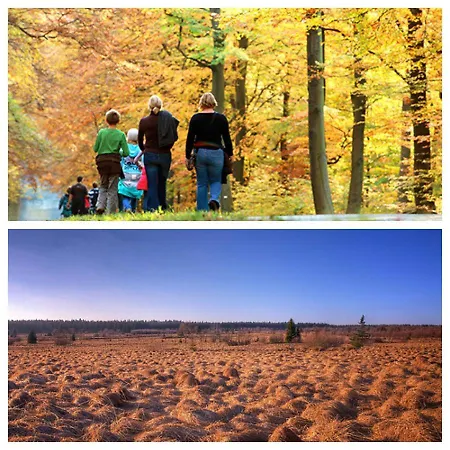 Cosy Authentic - Lacomte5 Vielsalm